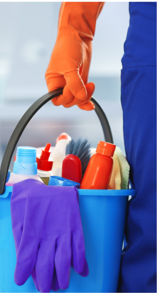 Professional house clean